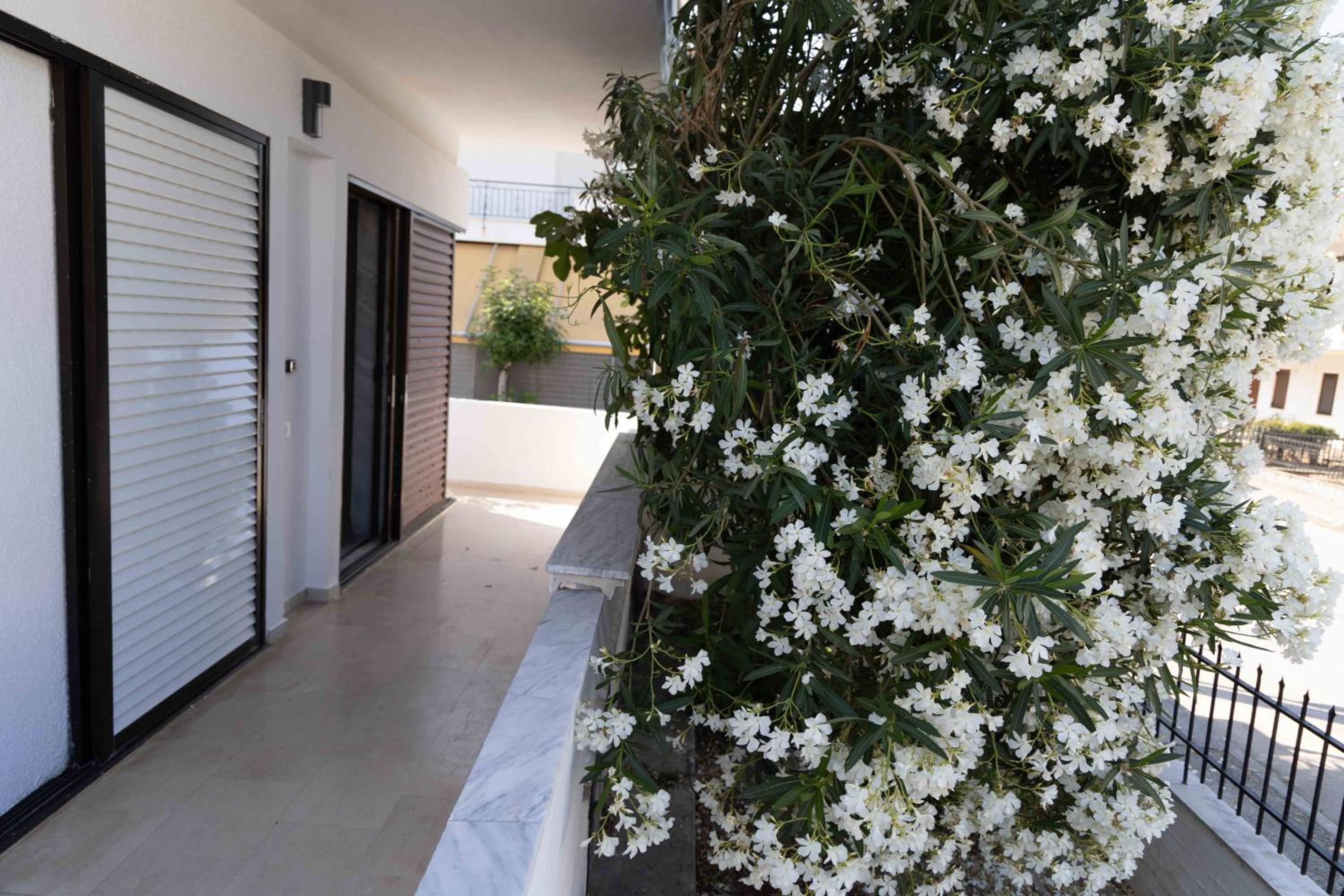 Astradeni Suite