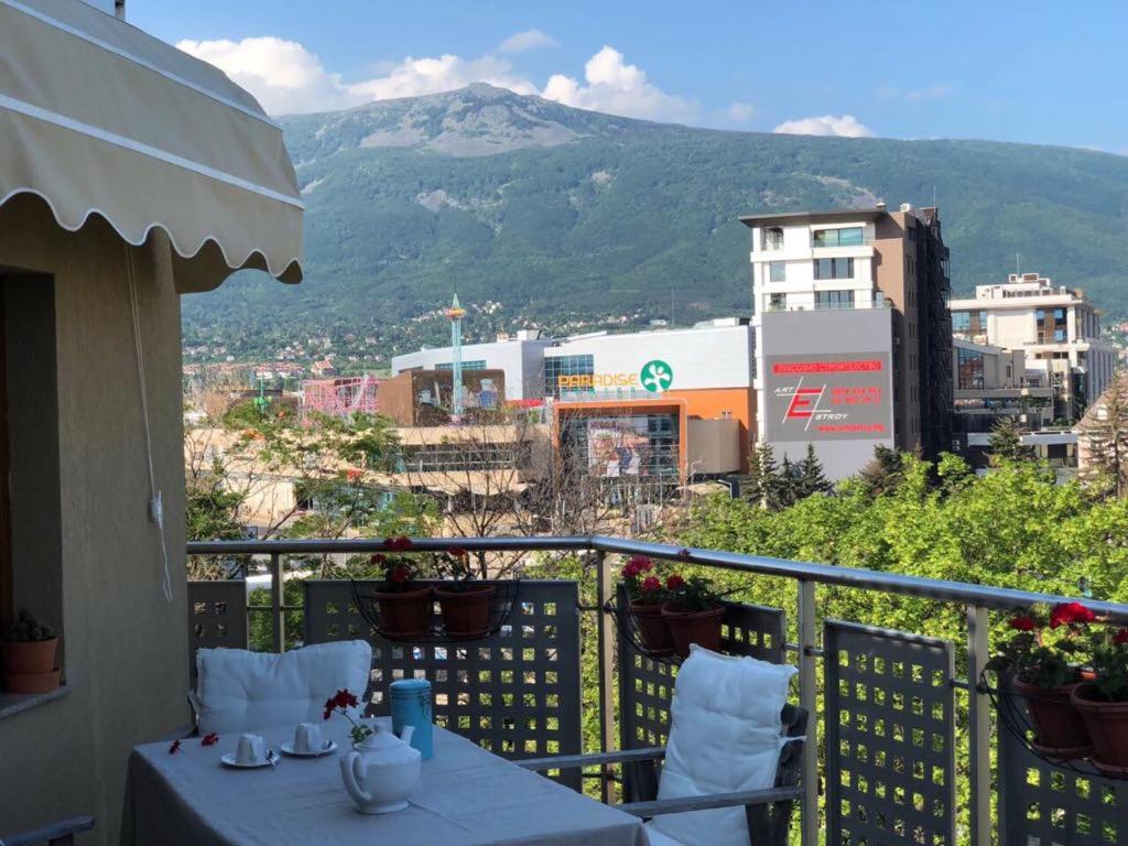 Spacious apartment with a Mountain view, big balcony and parking
