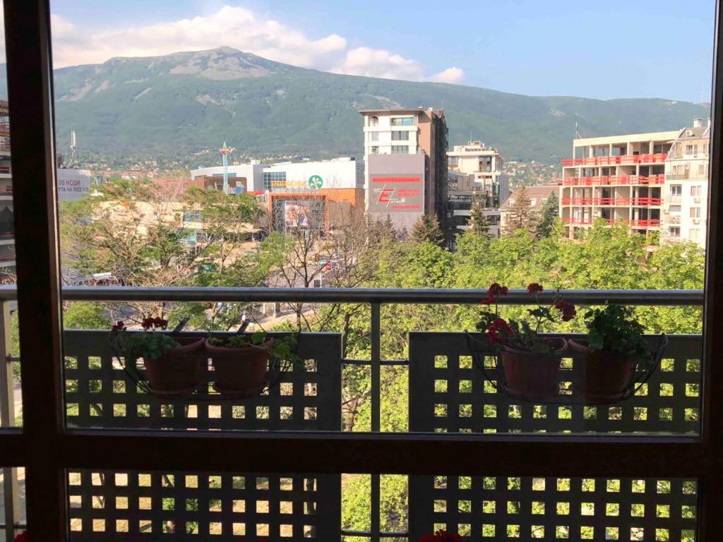 Spacious apartment with a Mountain view, big balcony and parking