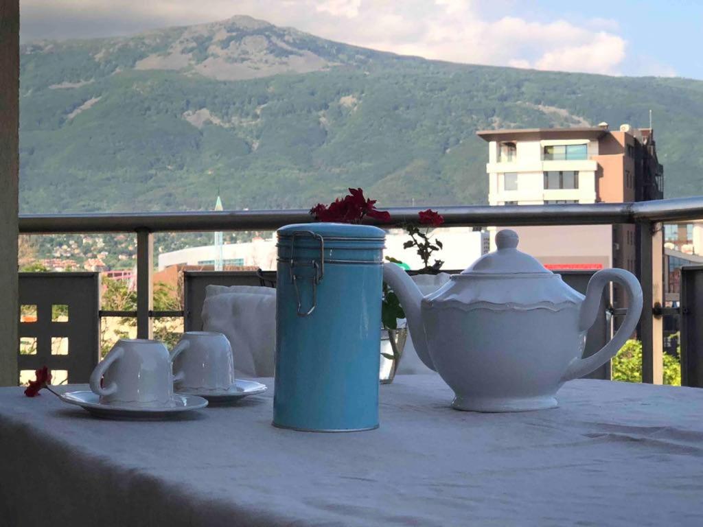 Spacious apartment with a Mountain view, big balcony and parking