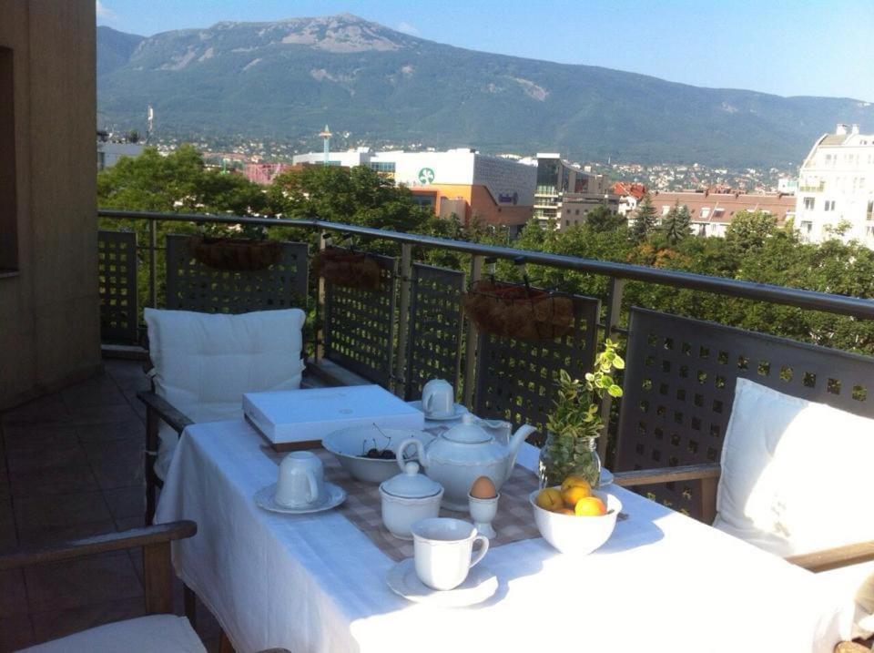 Spacious apartment with a Mountain view, big balcony and parking