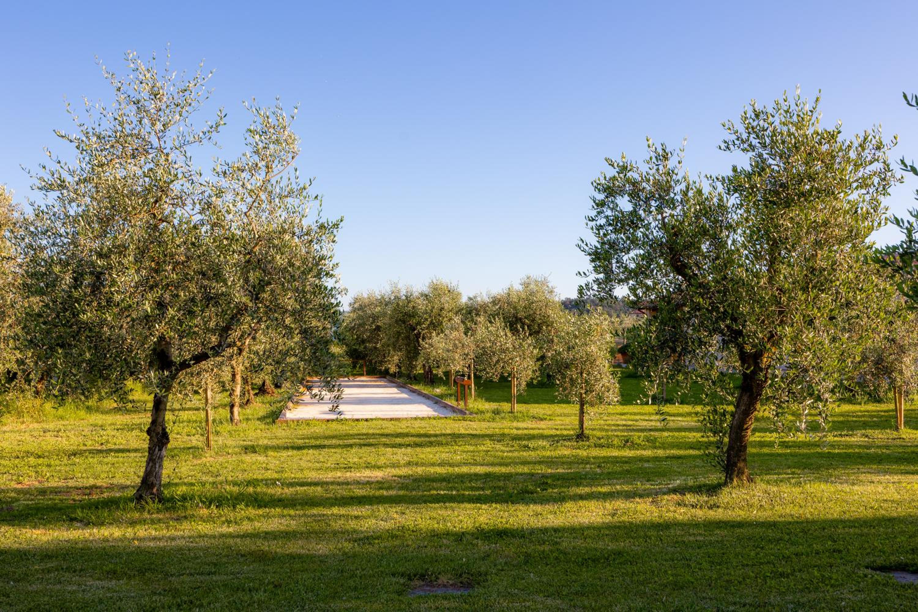 Podere di Piero view 4