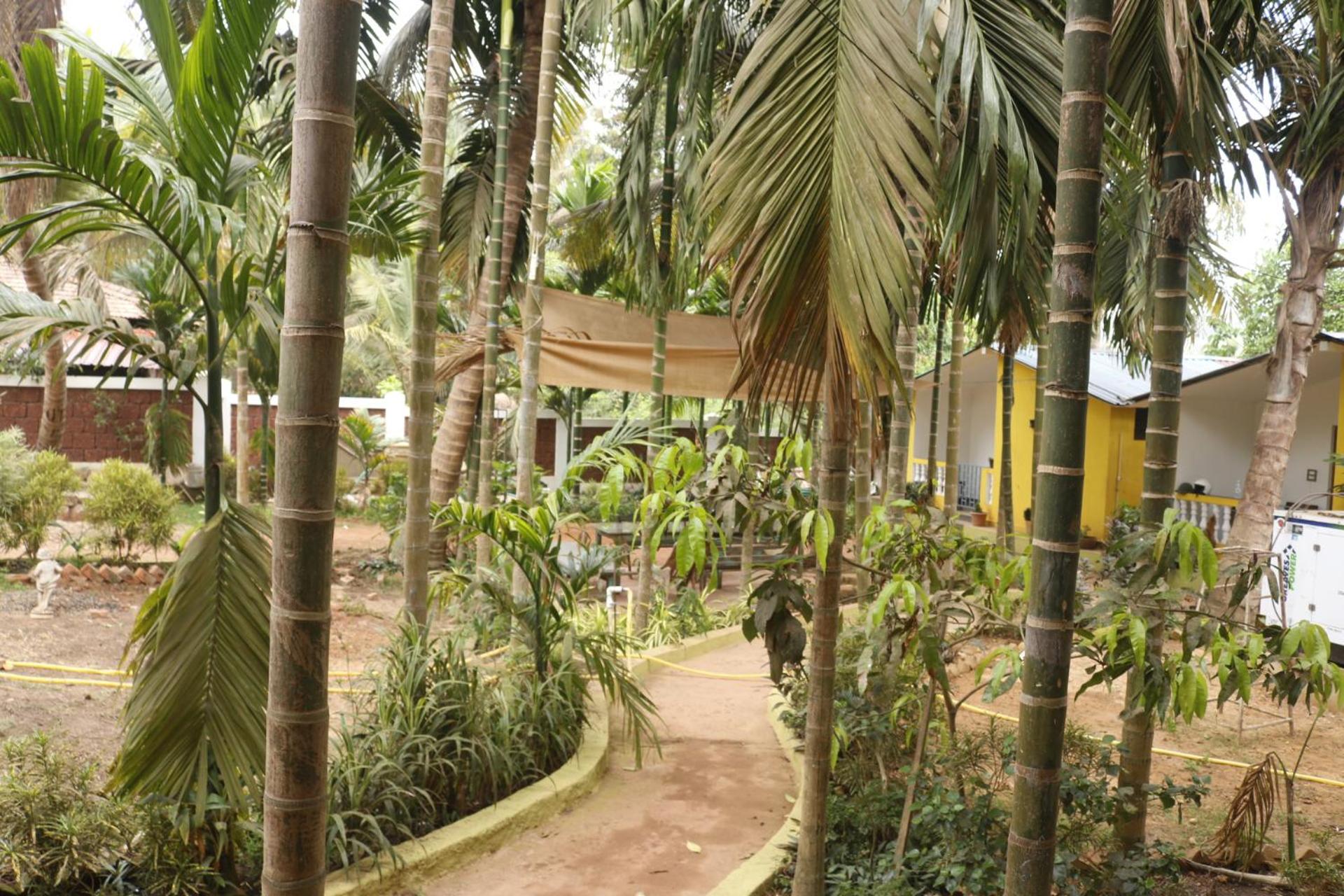 Lavish Exotic Hotel Arambol view 2
