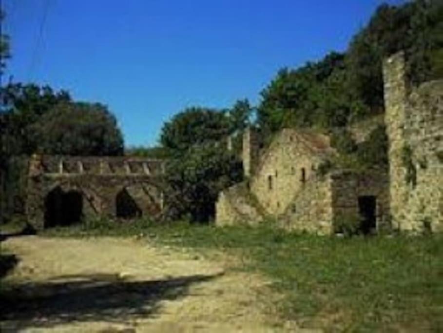 Photo 27