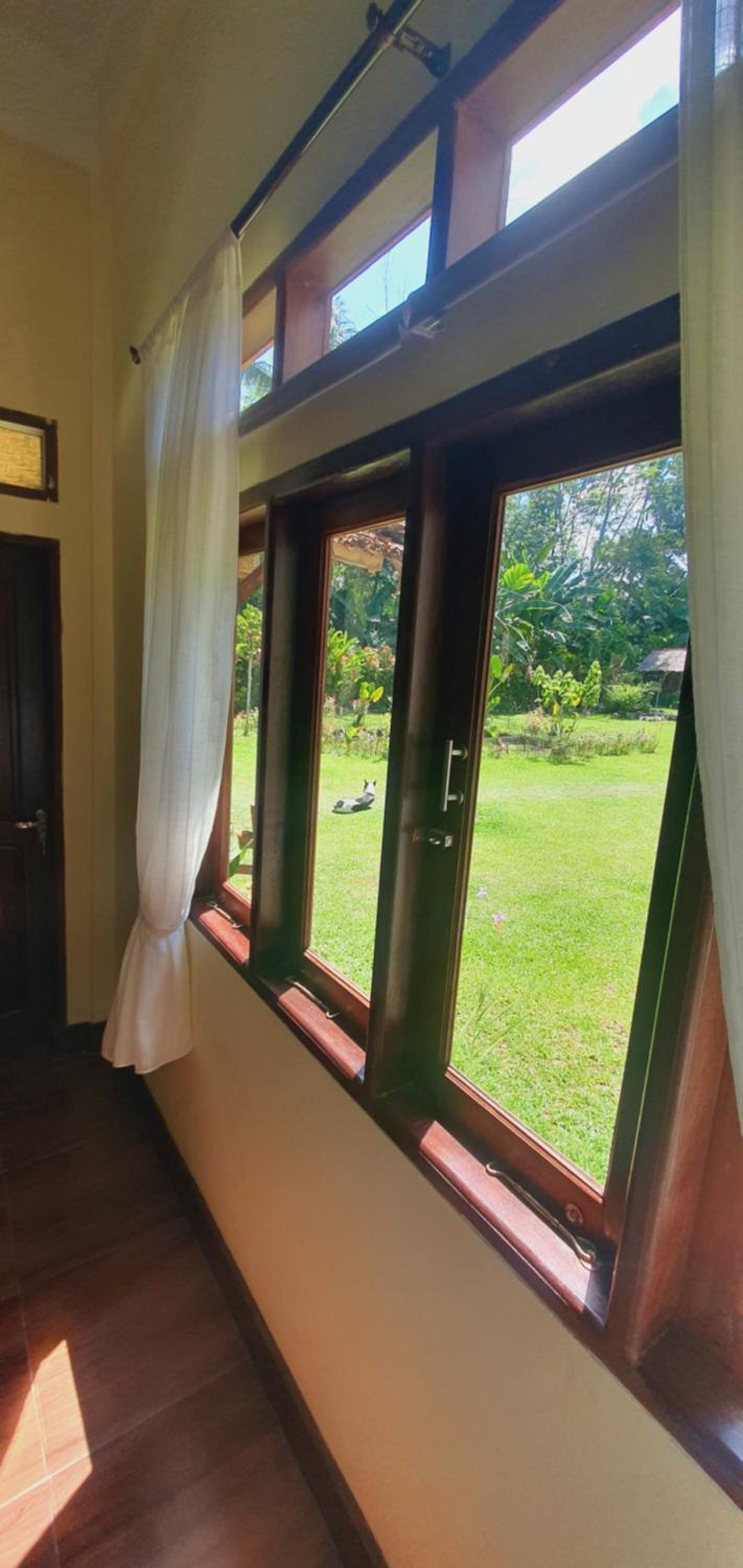 Sumatra Cheeky Monkeys Villa, Trekking and Tours