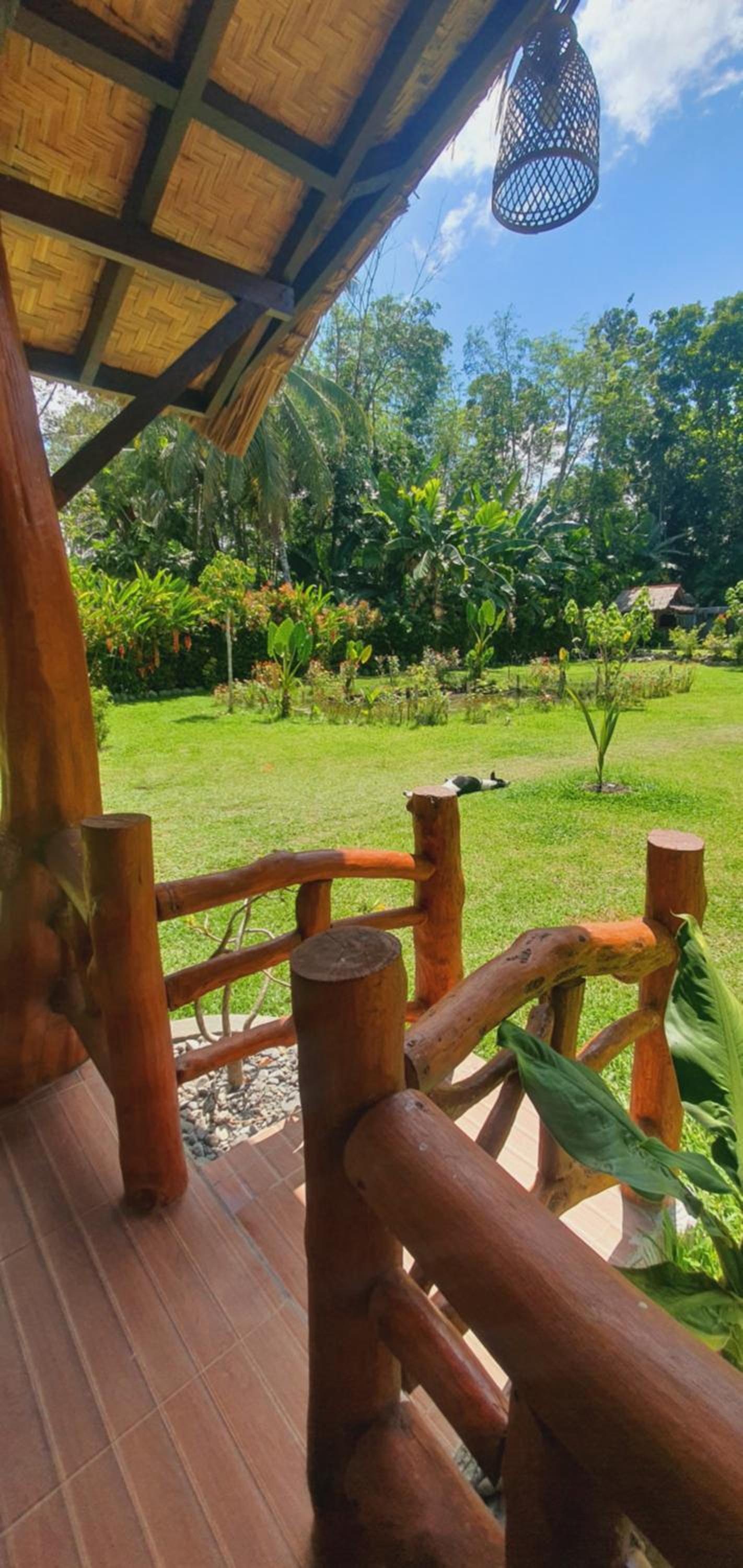 Sumatra Cheeky Monkeys Villa, Trekking and Tours
