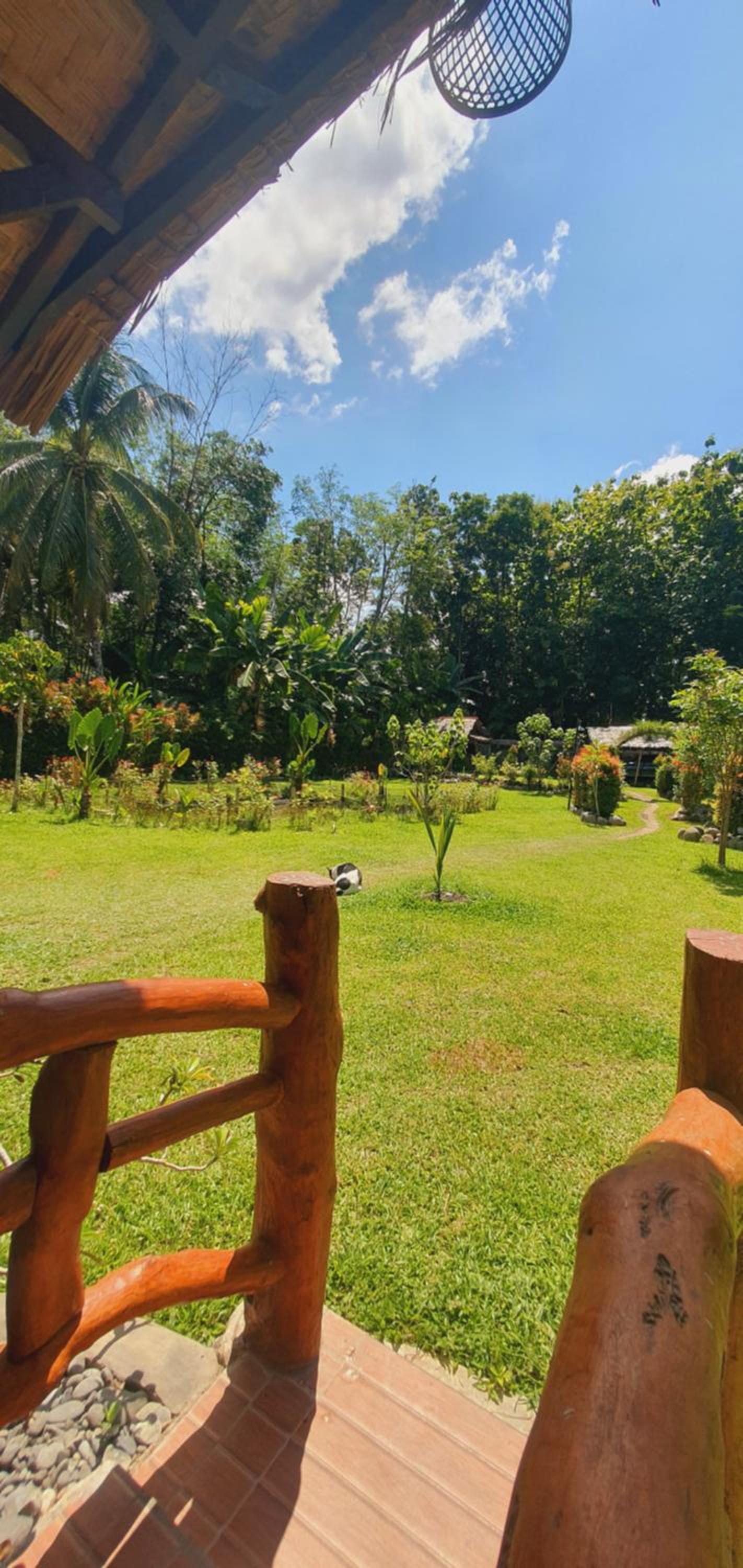 Sumatra Cheeky Monkeys Villa, Trekking and Tours
