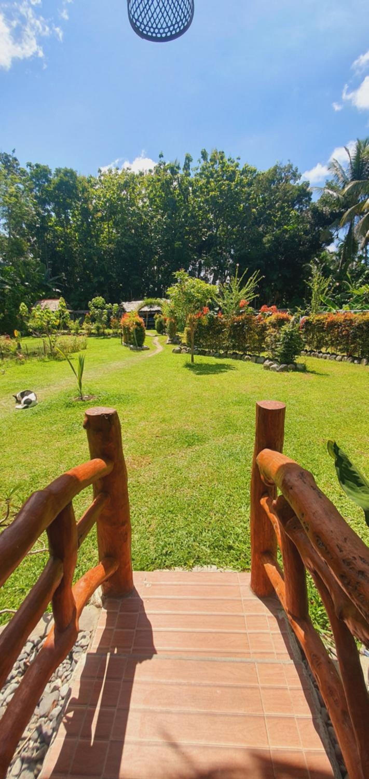 Sumatra Cheeky Monkeys Villa, Trekking and Tours