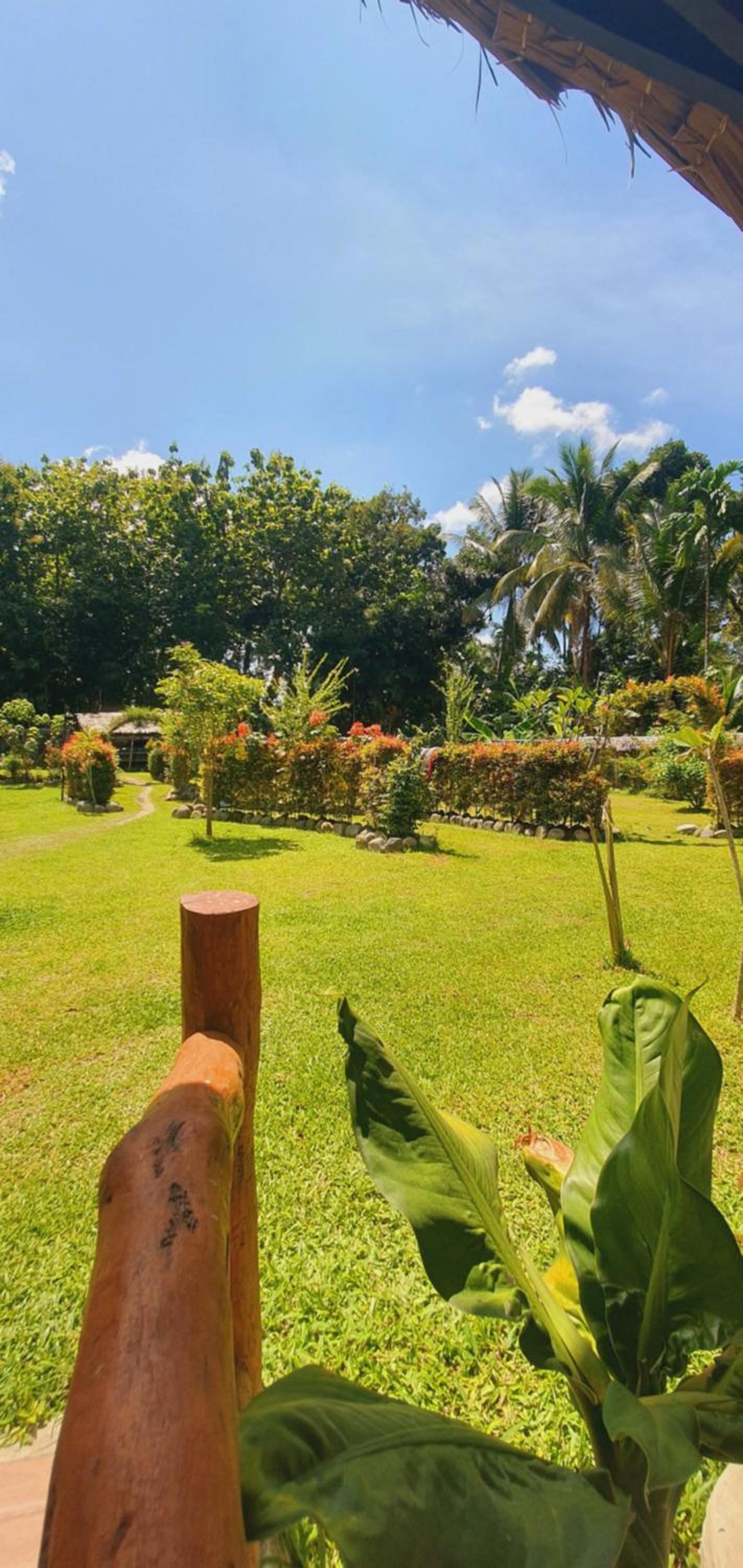 Sumatra Cheeky Monkeys Villa, Trekking and Tours