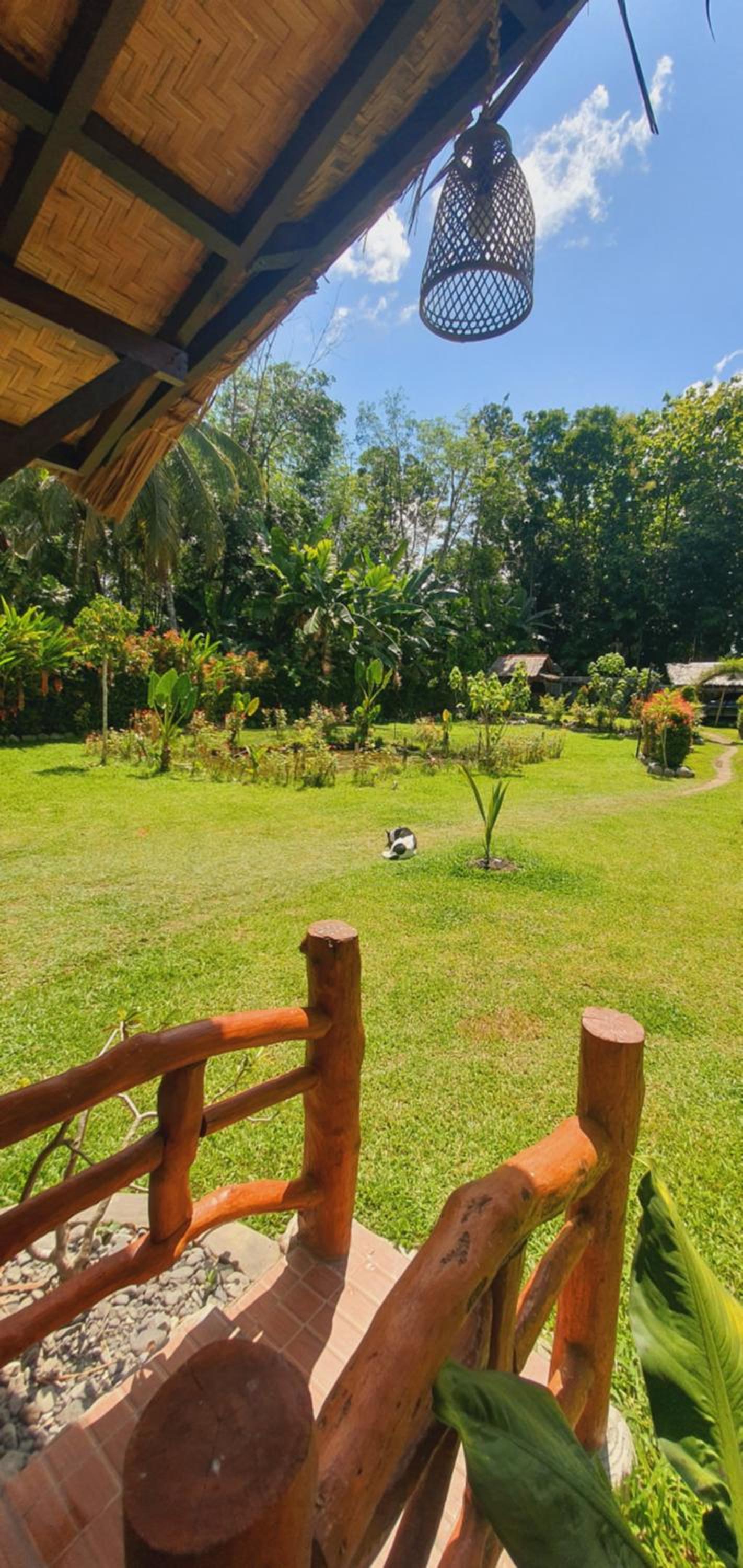 Sumatra Cheeky Monkeys Villa, Trekking and Tours