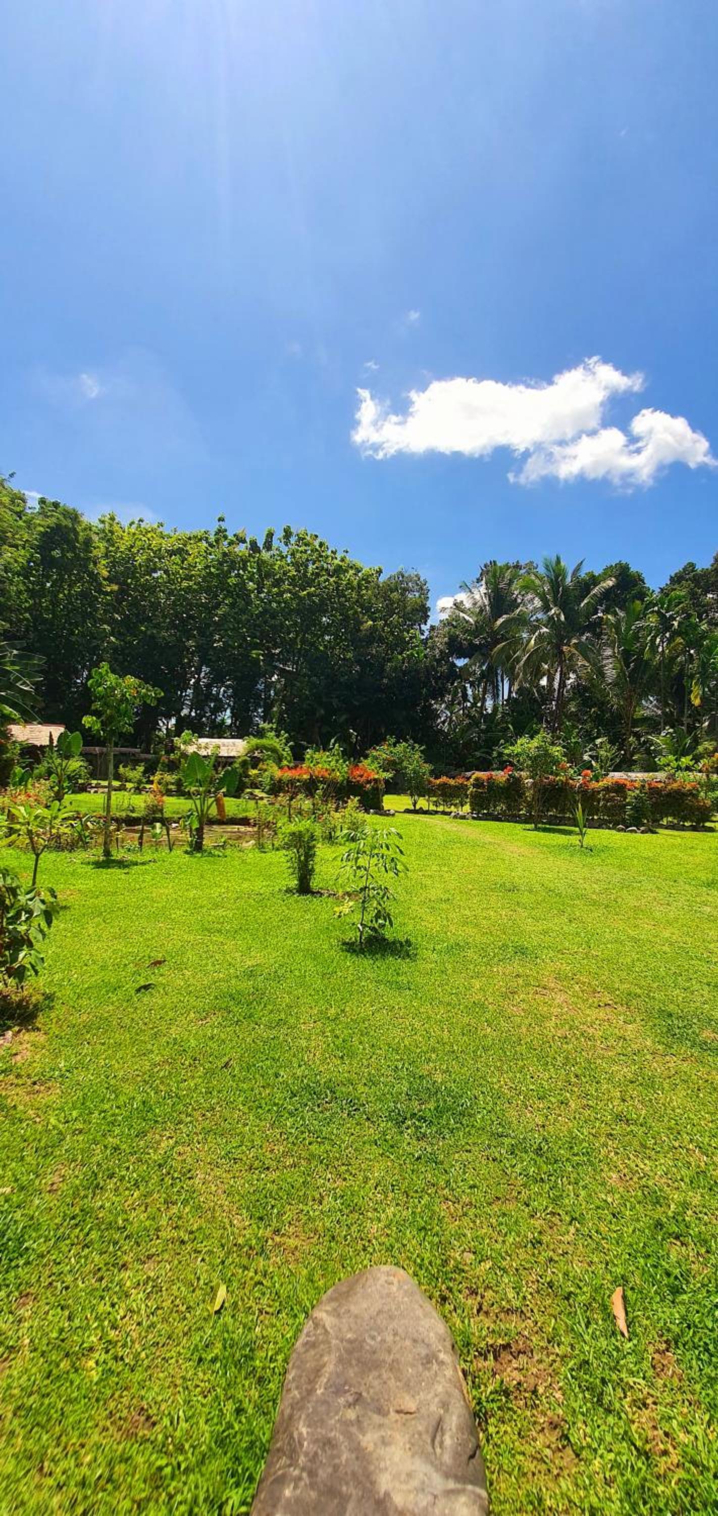Sumatra Cheeky Monkeys Villa, Trekking and Tours