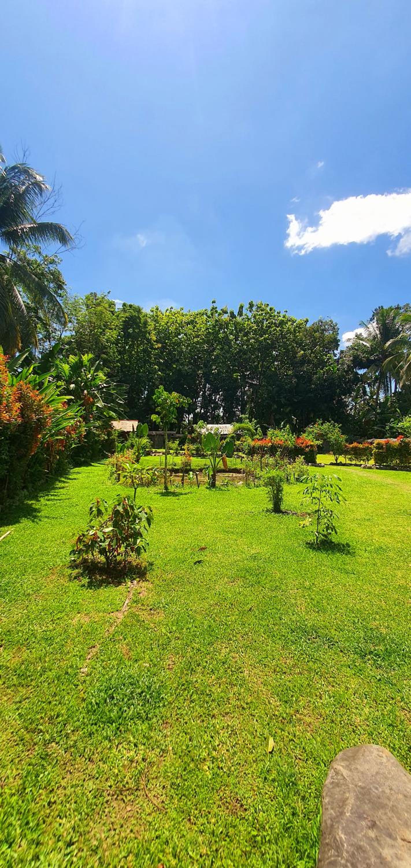 Sumatra Cheeky Monkeys Villa, Trekking and Tours
