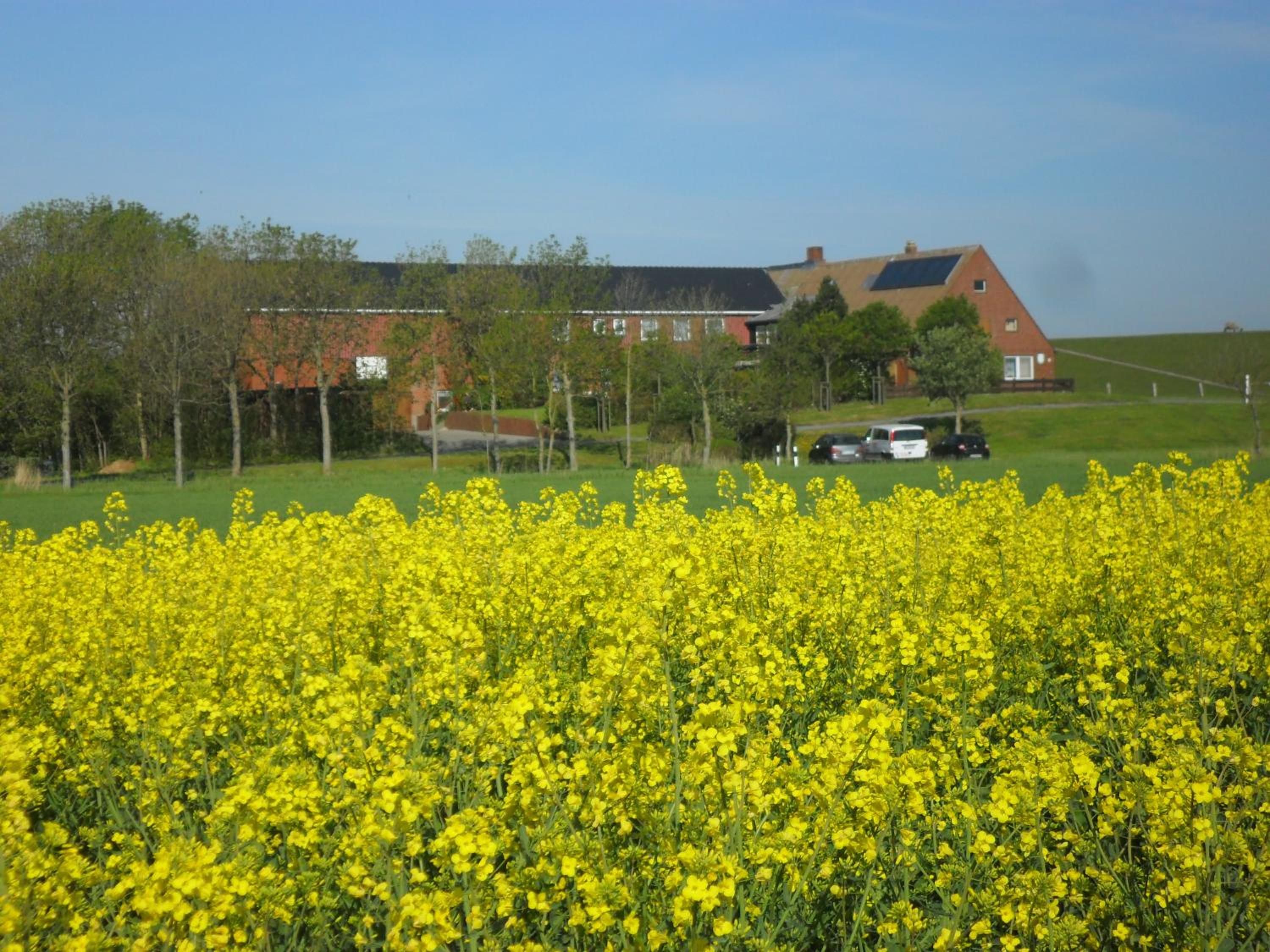 Ferienhof Dethlefsen