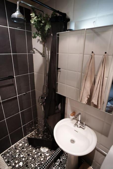 Kaunis ja valoisa koti lähellä Aurajokirantaa