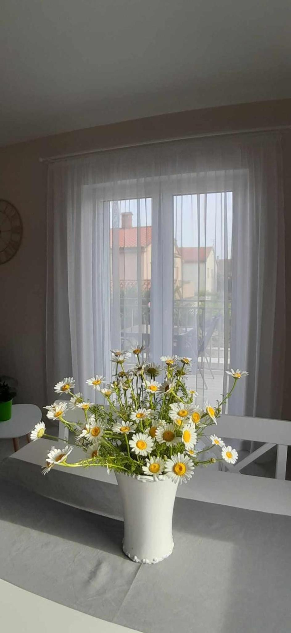 Pula Vacations - Valdebek Apartments with pool - Property Image 8