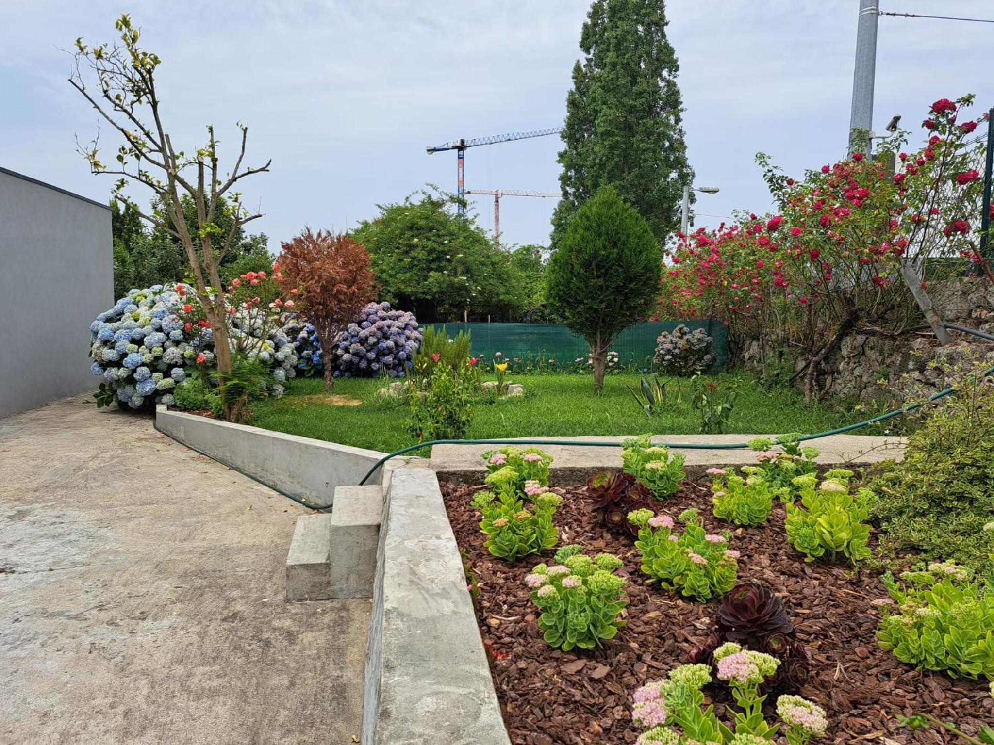 Garden House Ramalde view 2