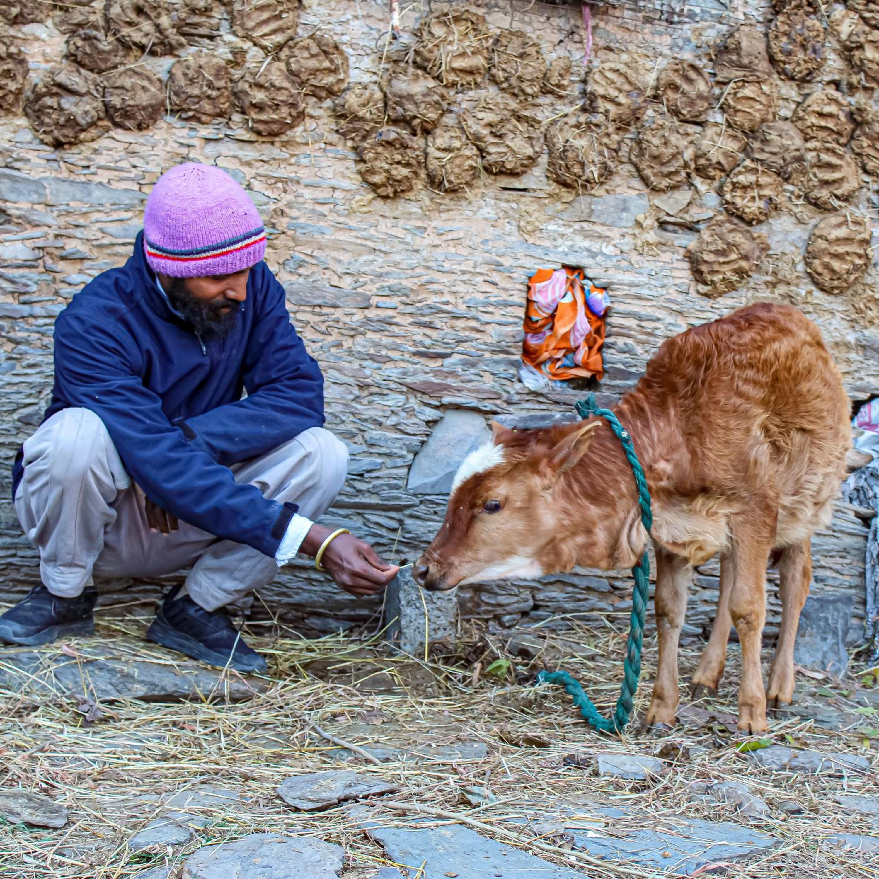 Swami Rama Initiative