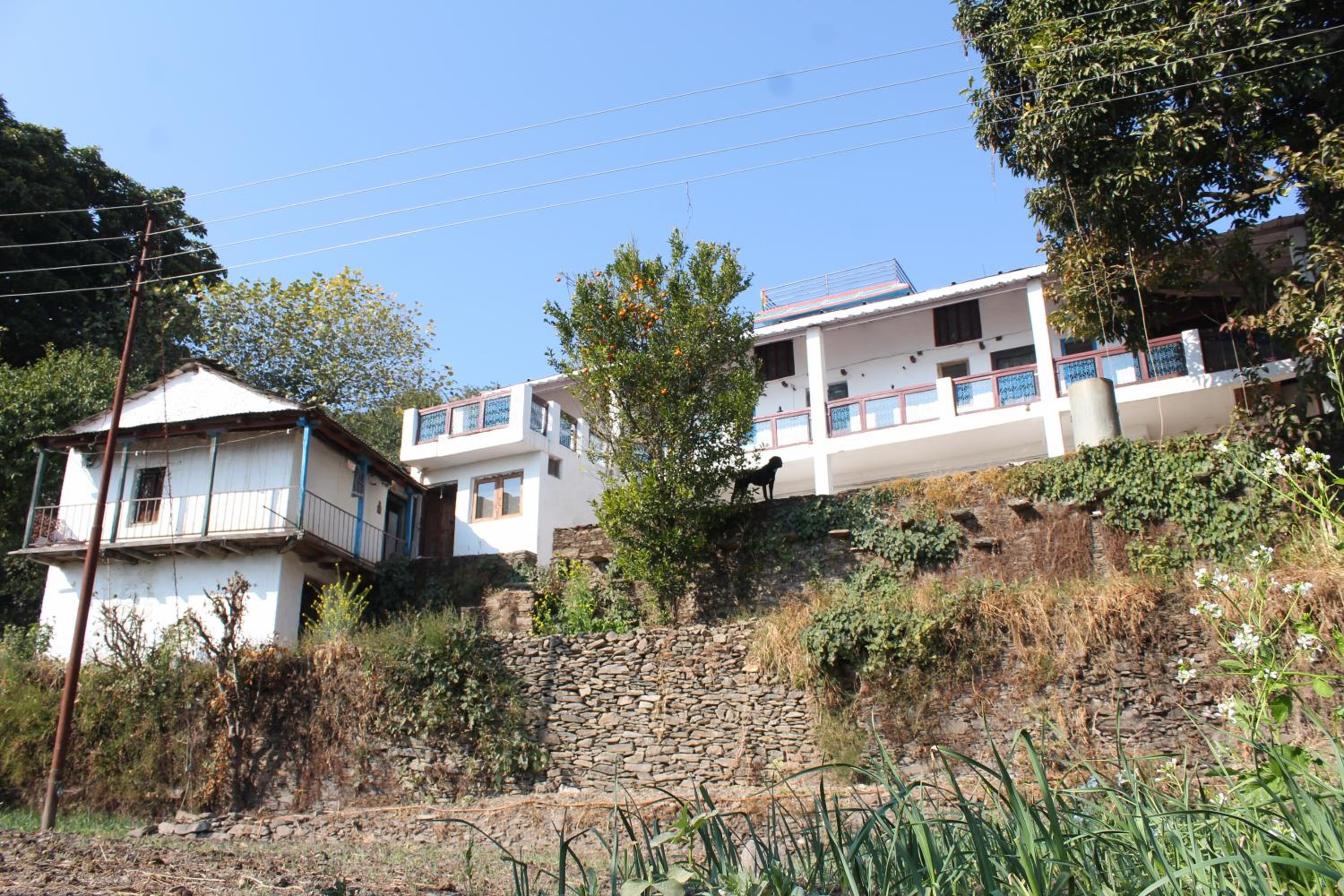 Swami Rama Initiative