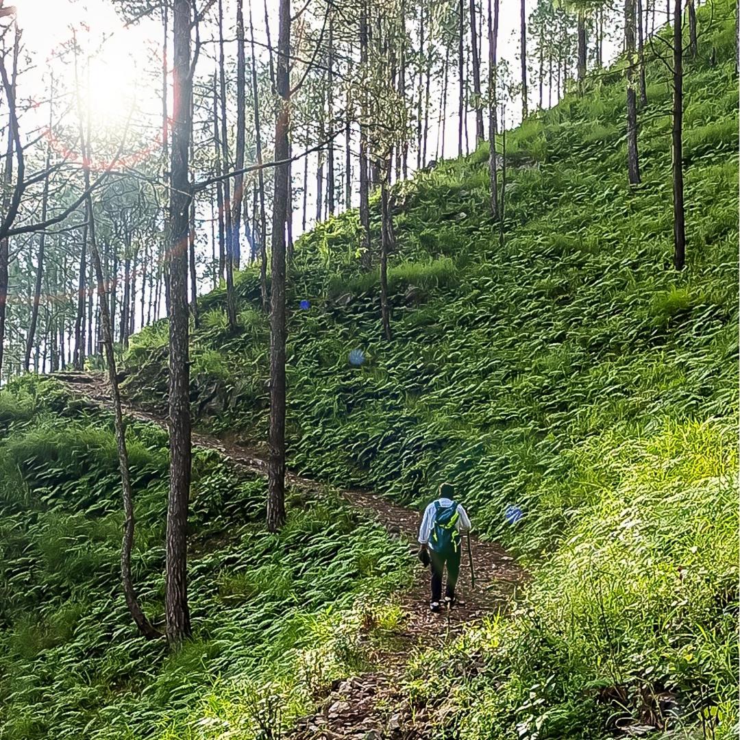 Swami Rama Initiative
