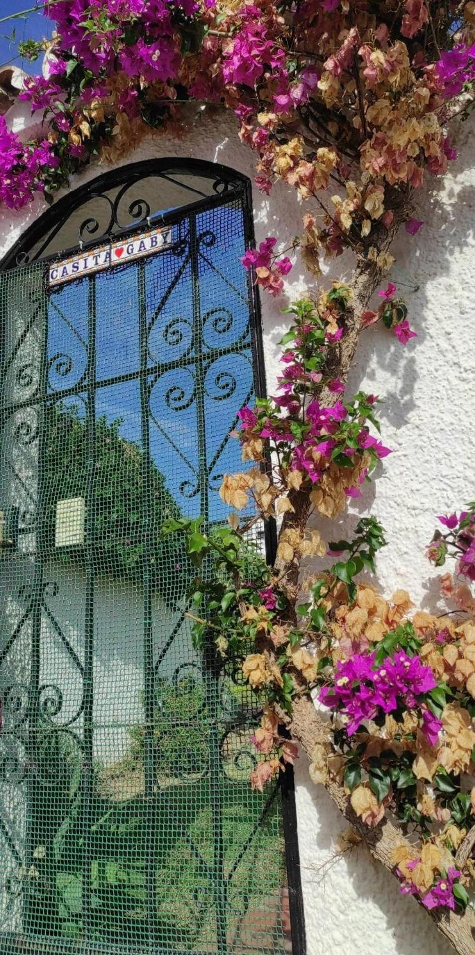 Casita Gaby Capistrano