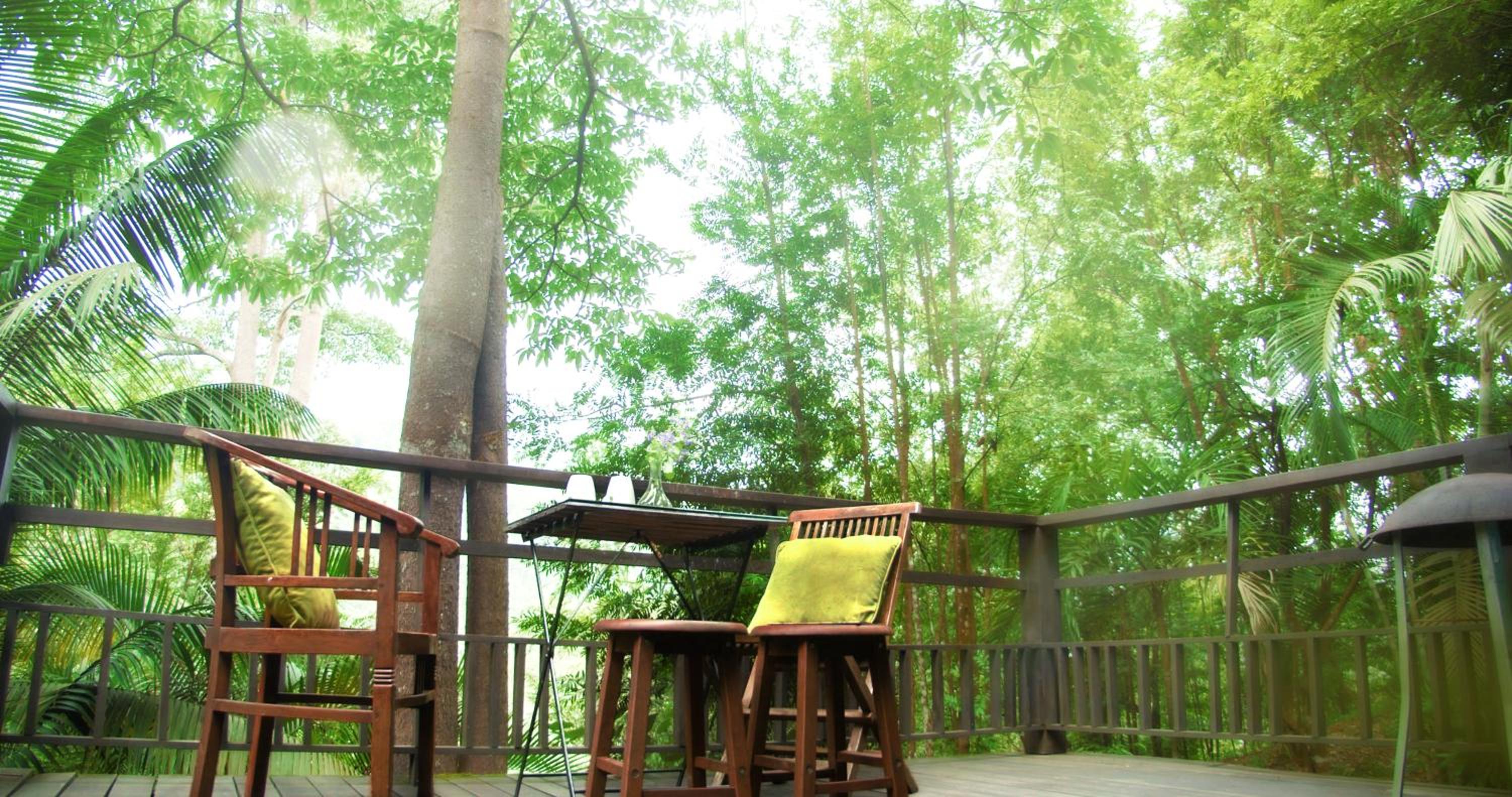 The Dusun