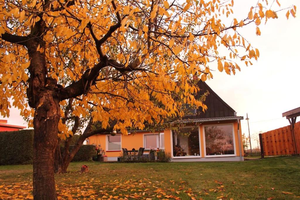 Ferienhaus Frank