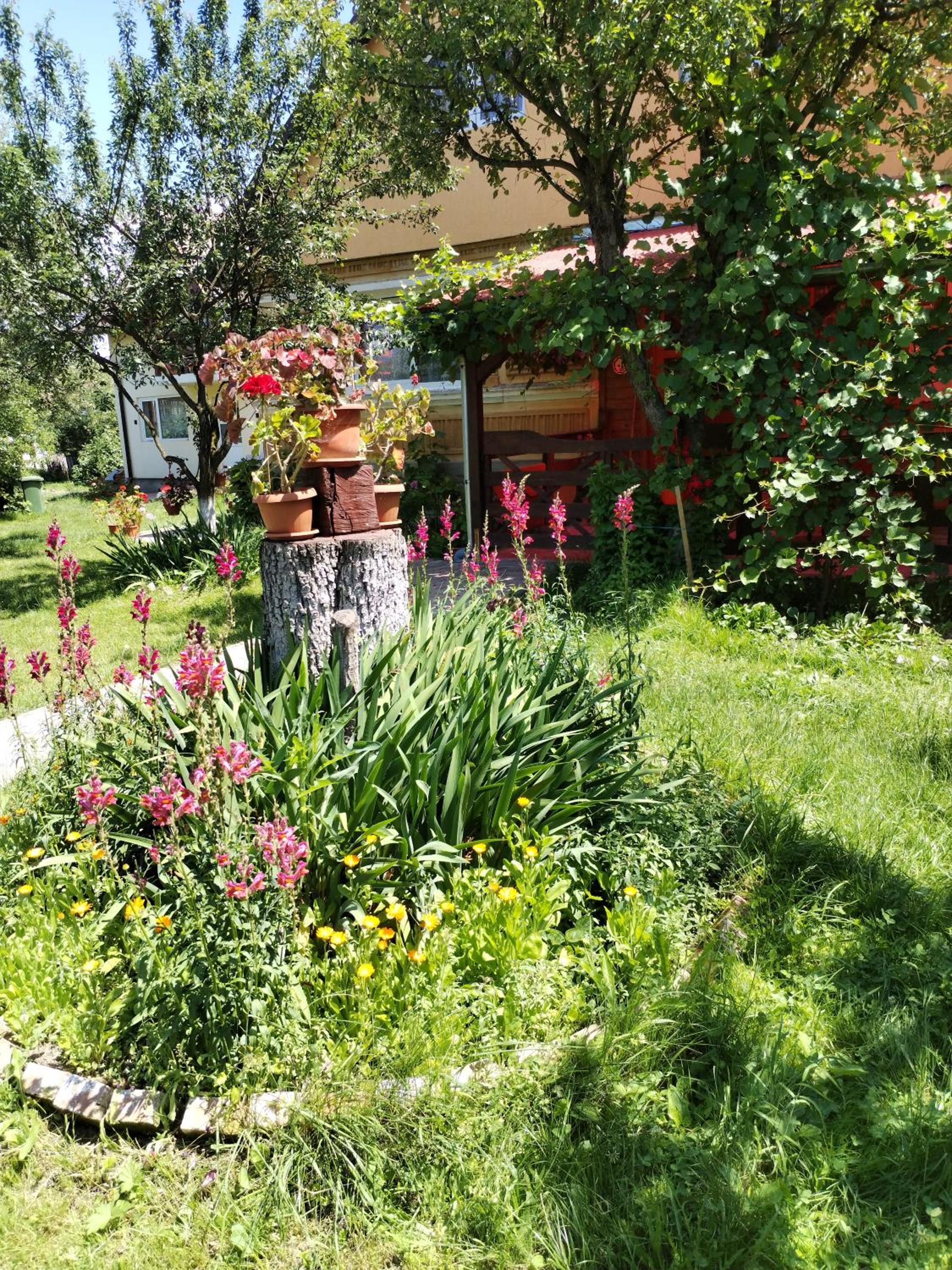 Photo 8