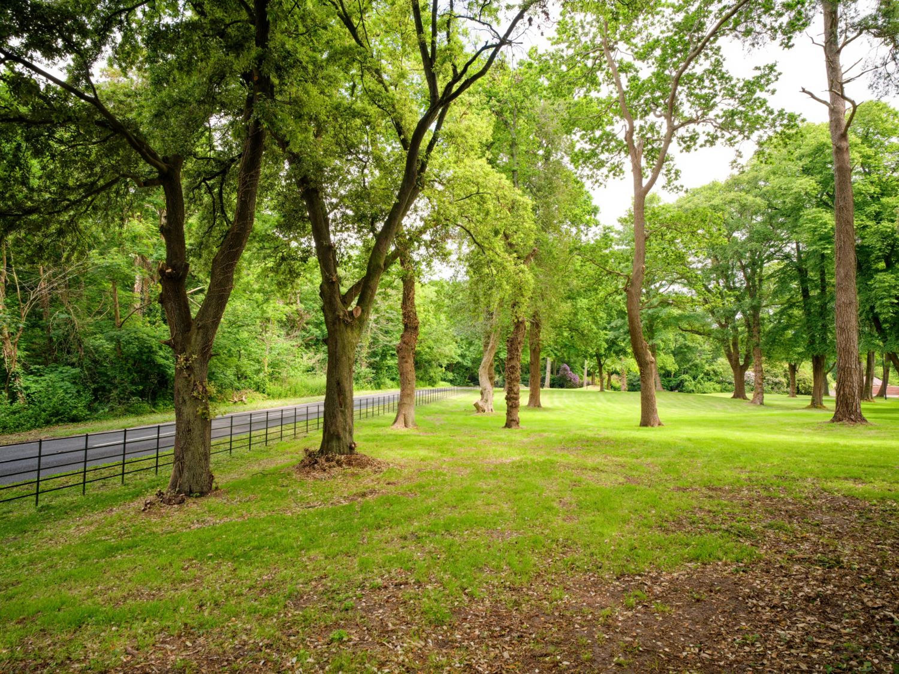 Tyrrells Park