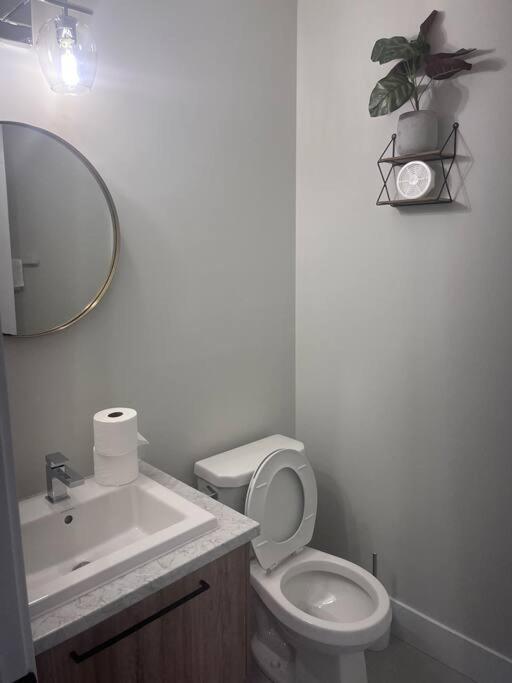 Simply Luxury