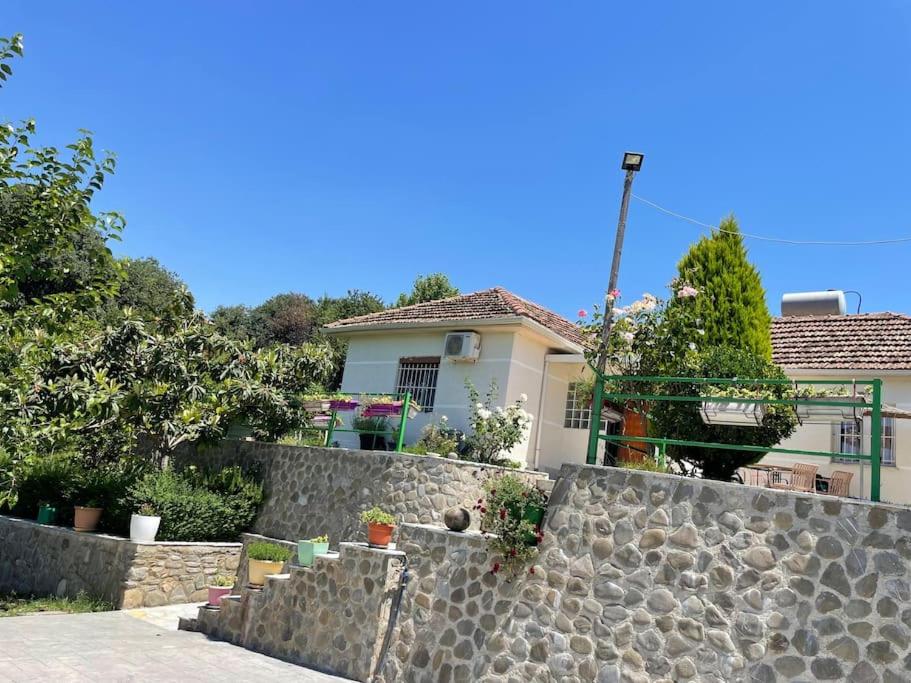 Green Garden Villa & Pool