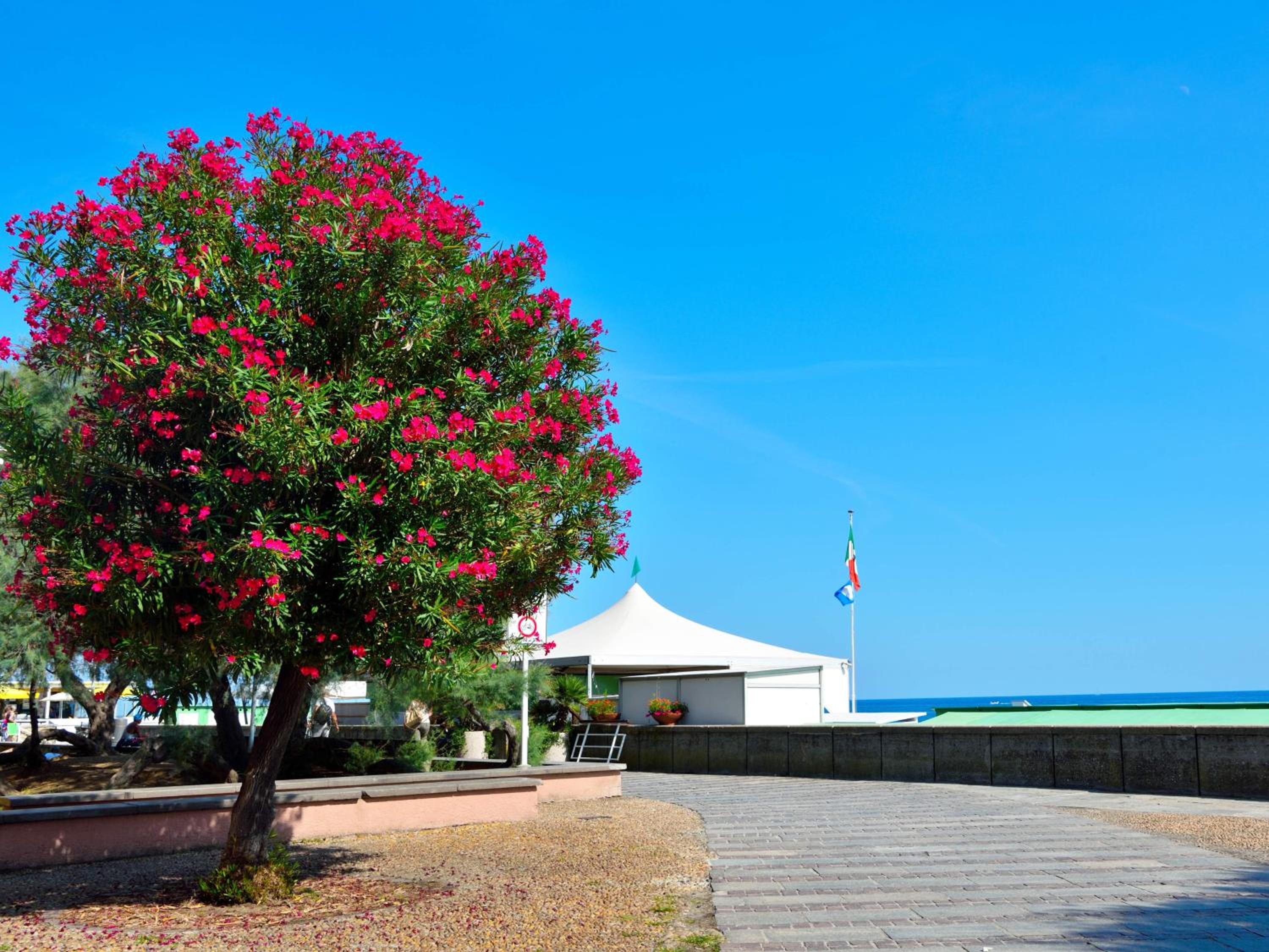 La Bella Vita Marina Beach by Holiday World view 2