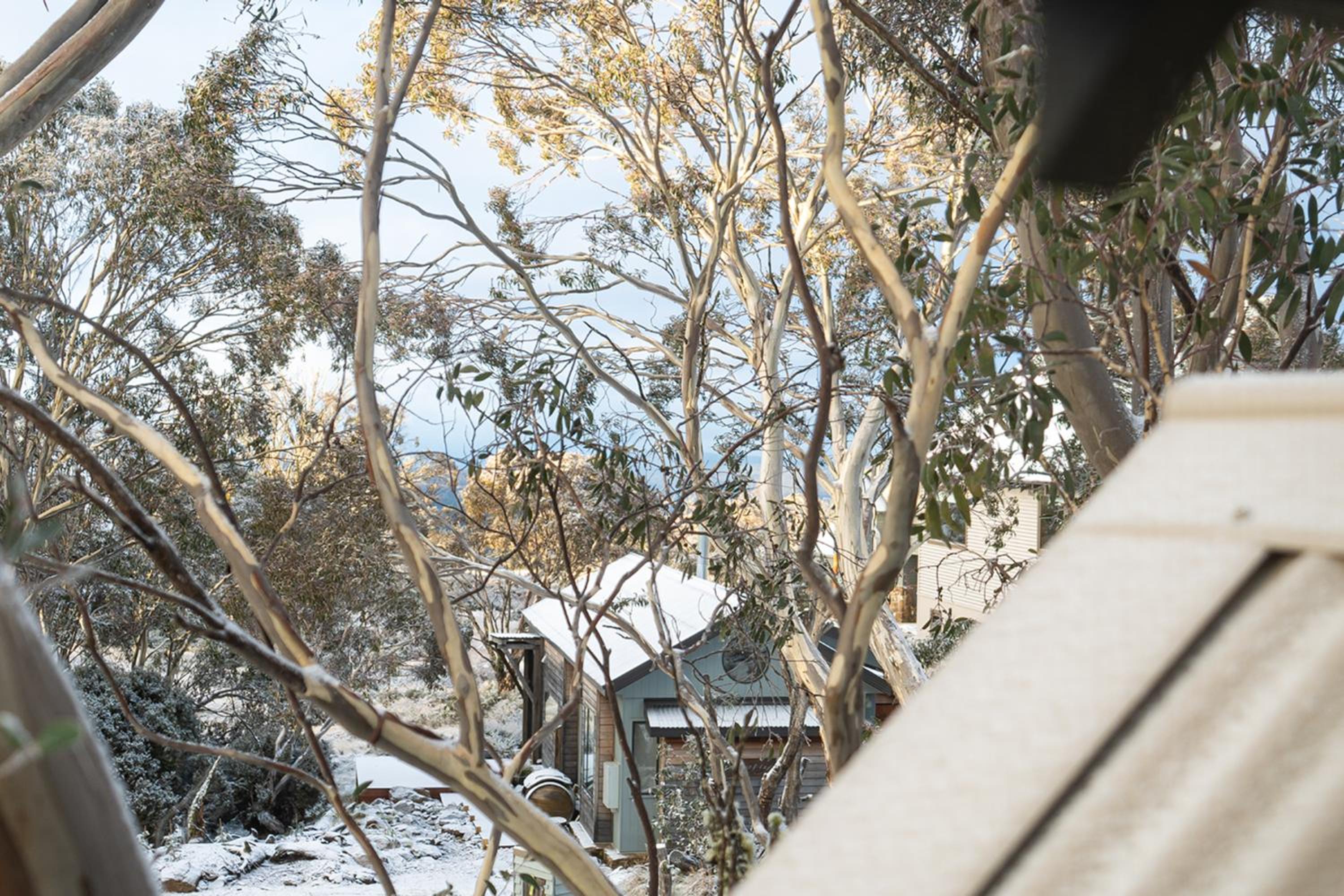 Cosy Cabin 15 min drive from Mount Hotham
