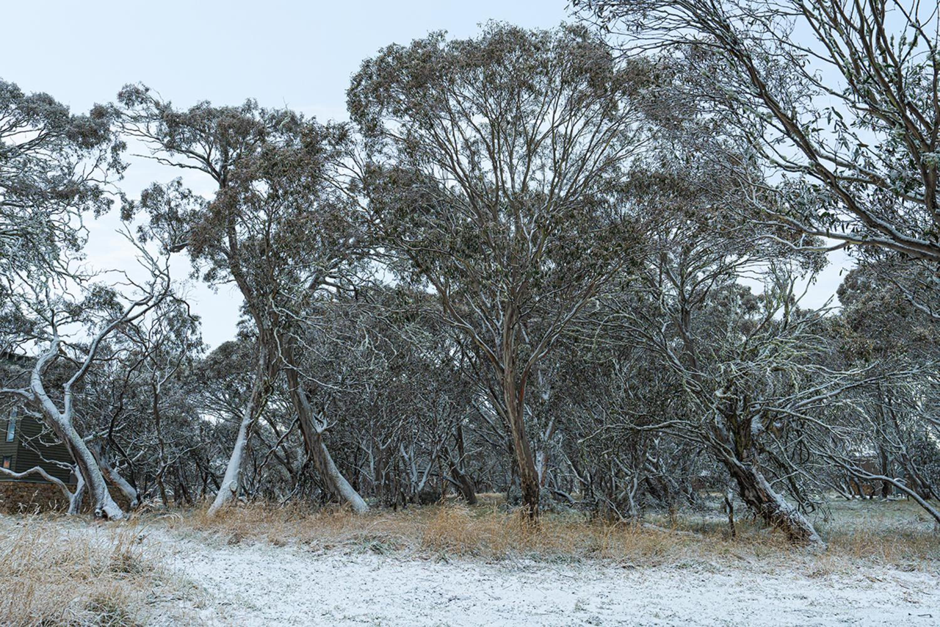 Cosy Cabin 15 min drive from Mount Hotham