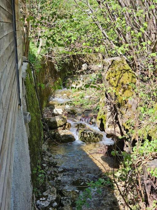 Apartment Berg und Bach - Lakes 5min, Salzburg 20min