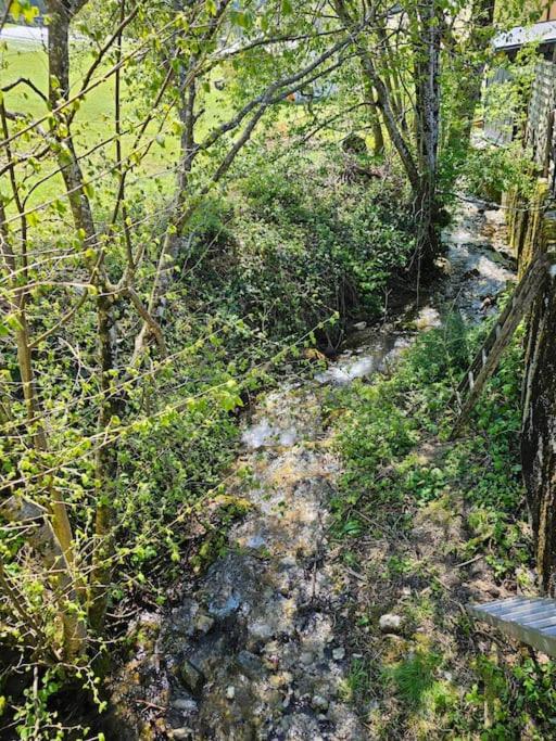 Apartment Berg und Bach - Lakes 5min, Salzburg 20min