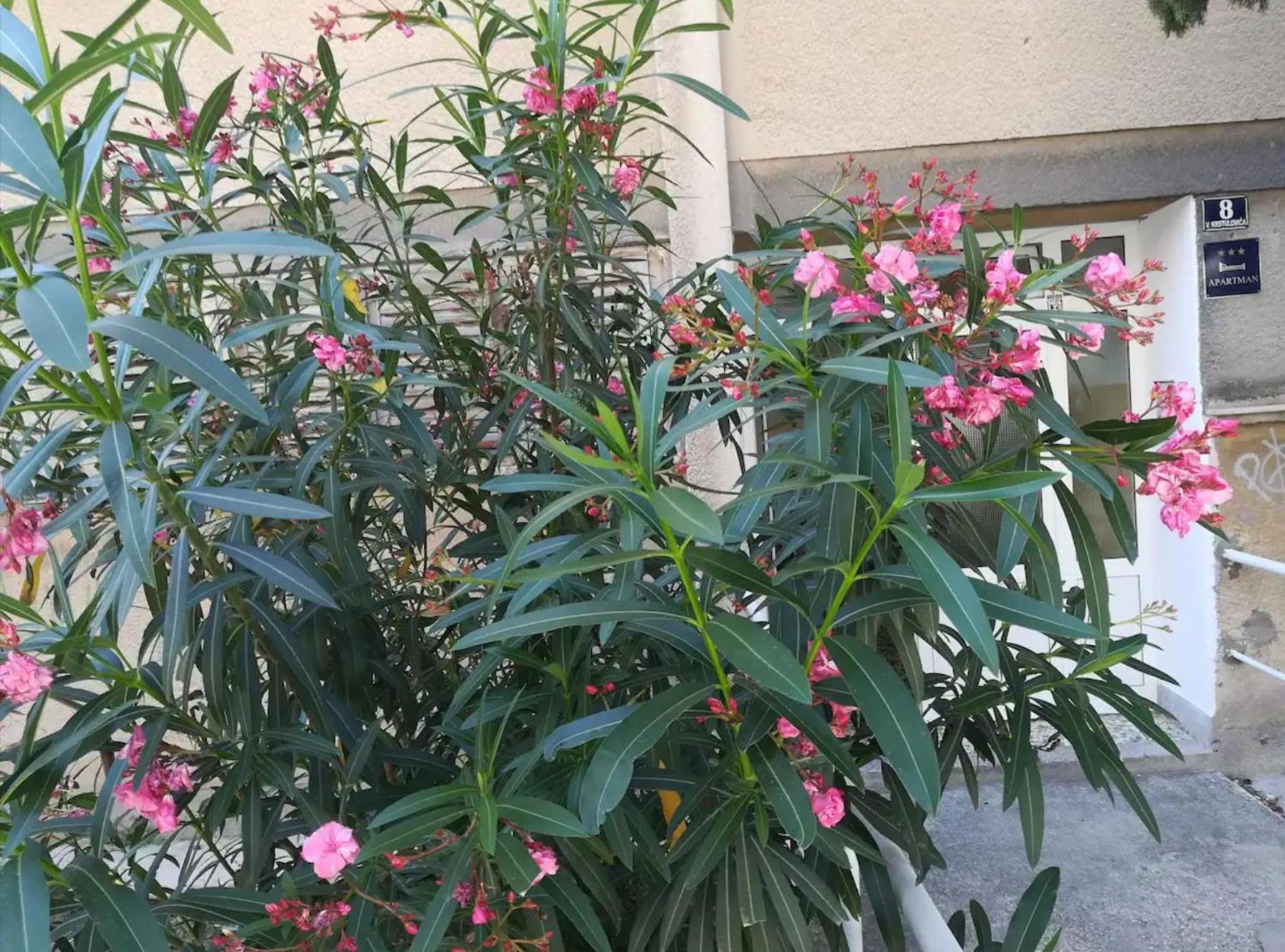 Friendly Well Located Family Apartment en Split