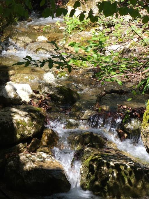 Apartment Berg und Bach - Lakes 5min, Salzburg 20min