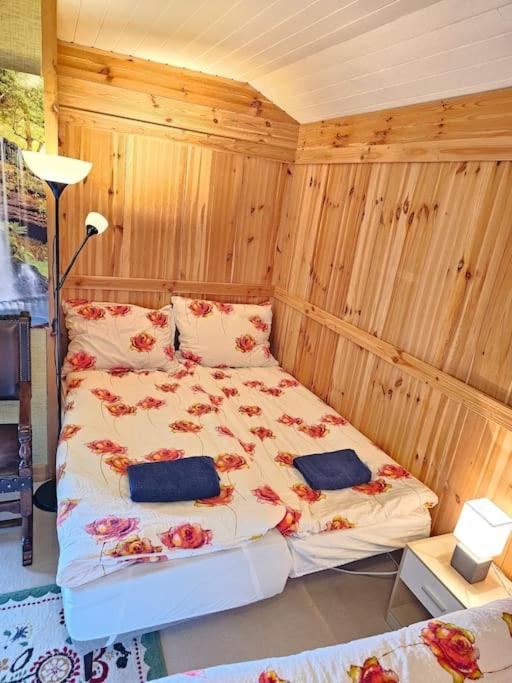 Apartment Berg und Bach - Lakes 5min, Salzburg 20min