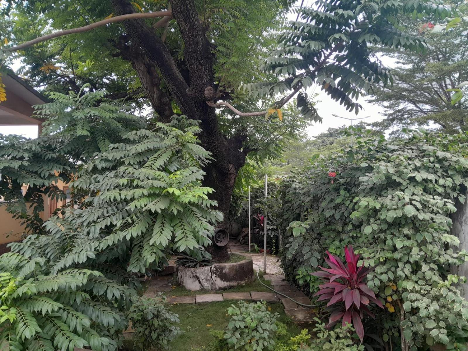 Casa de Ferias, photo 99