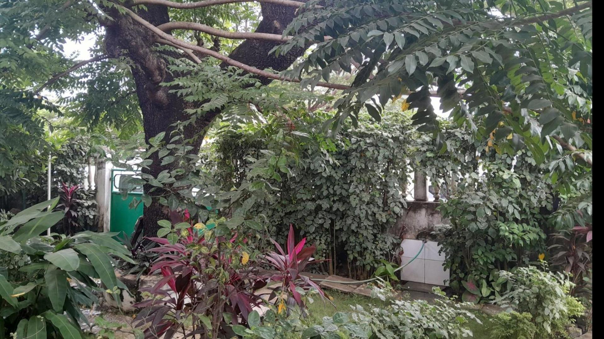 Casa de Ferias, photo 28
