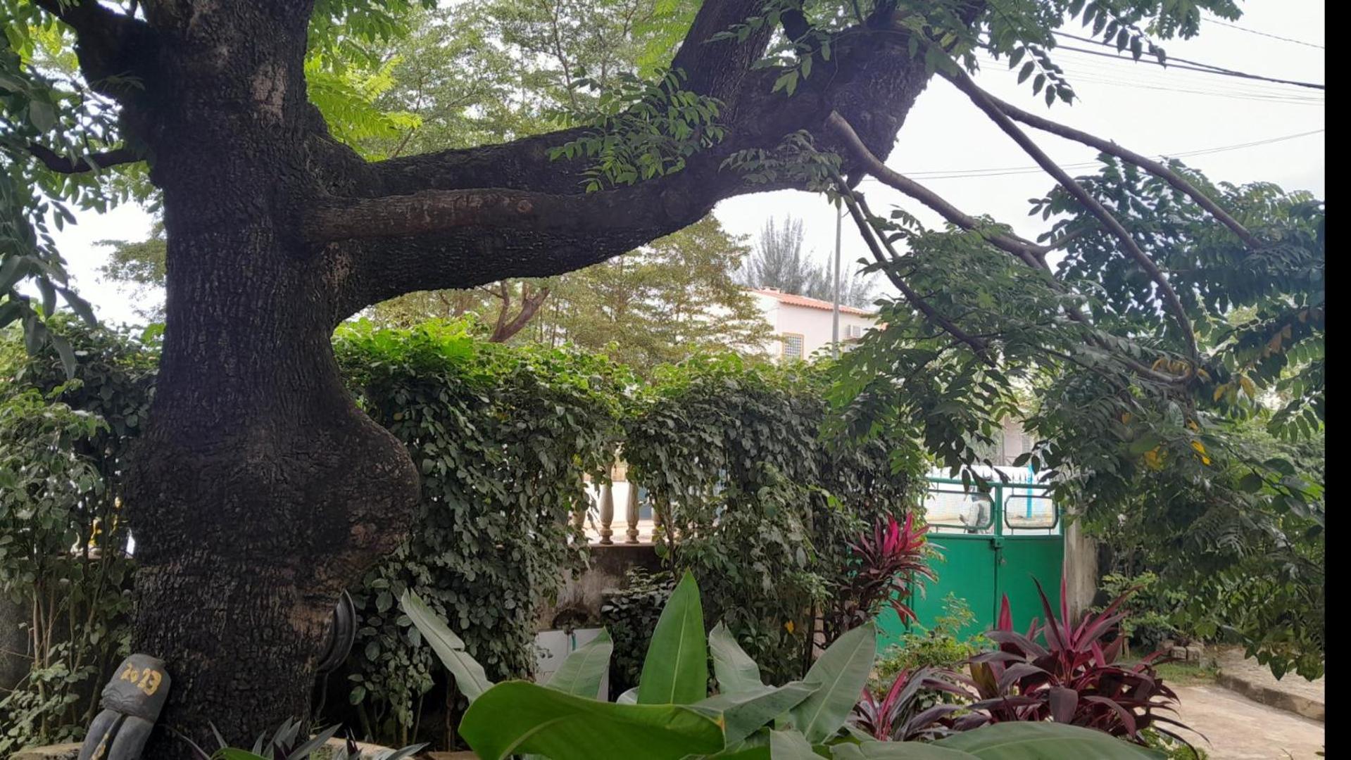 Casa de Ferias, photo 19