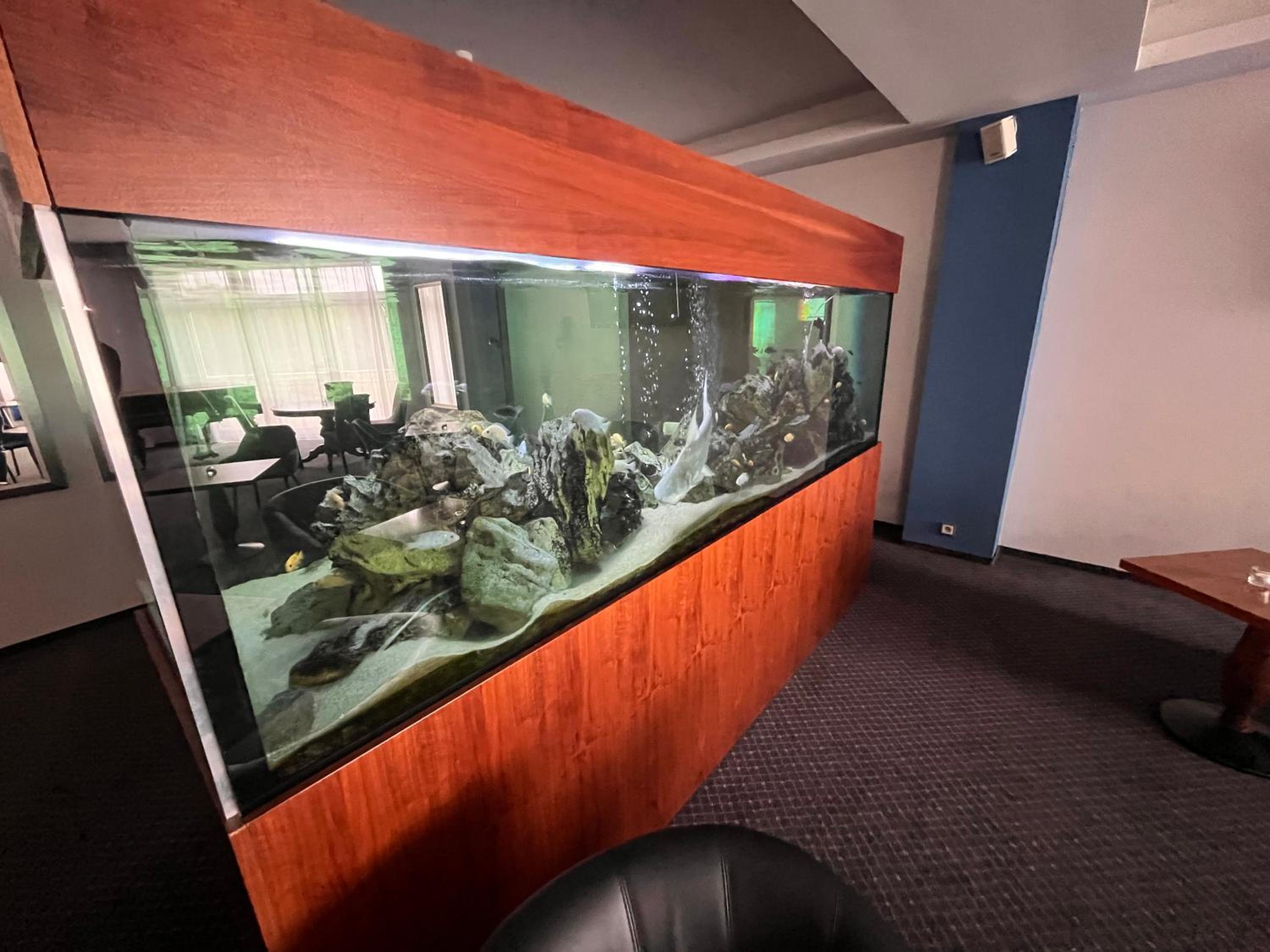 Goldenfish Pilsen apartman