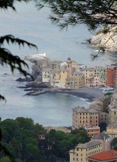 attico spettacolare vista mare