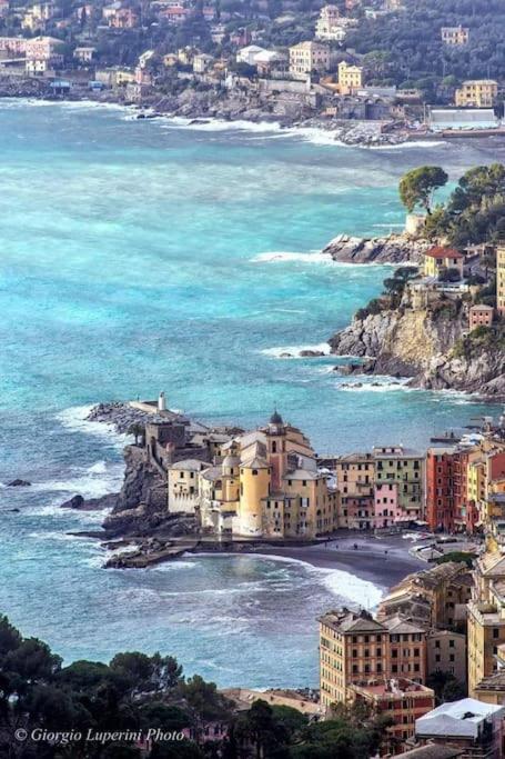 attico spettacolare vista mare