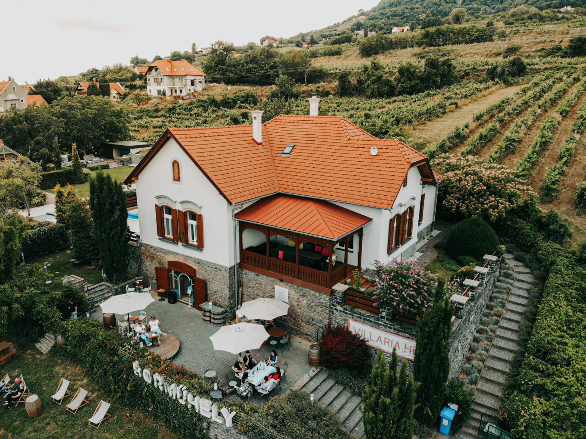 Badacsony Villa Ria view 3