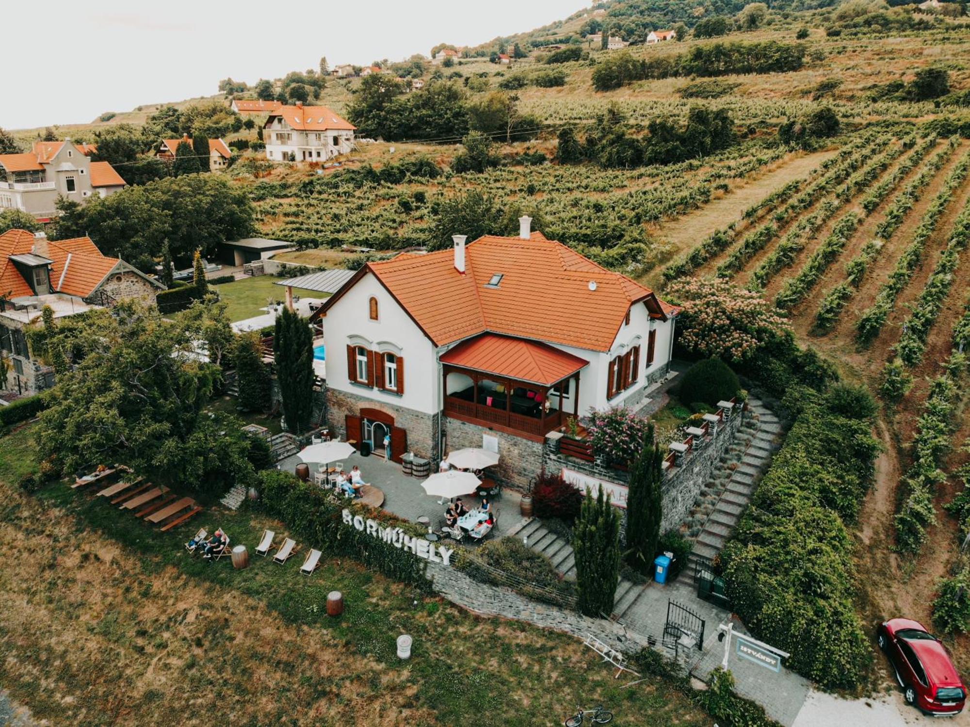 Badacsony Villa Ria view 4