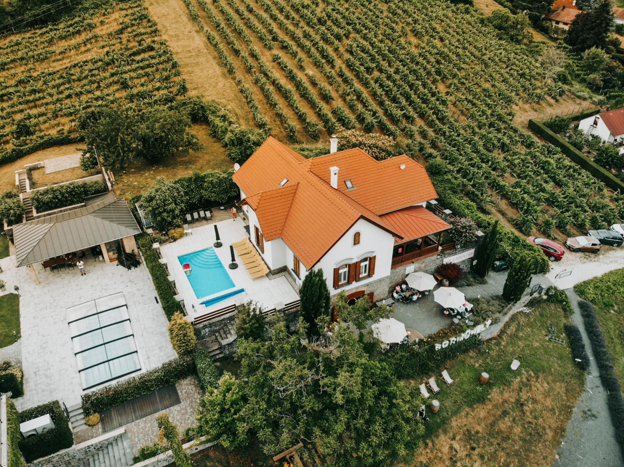 Badacsony Villa Ria view 5