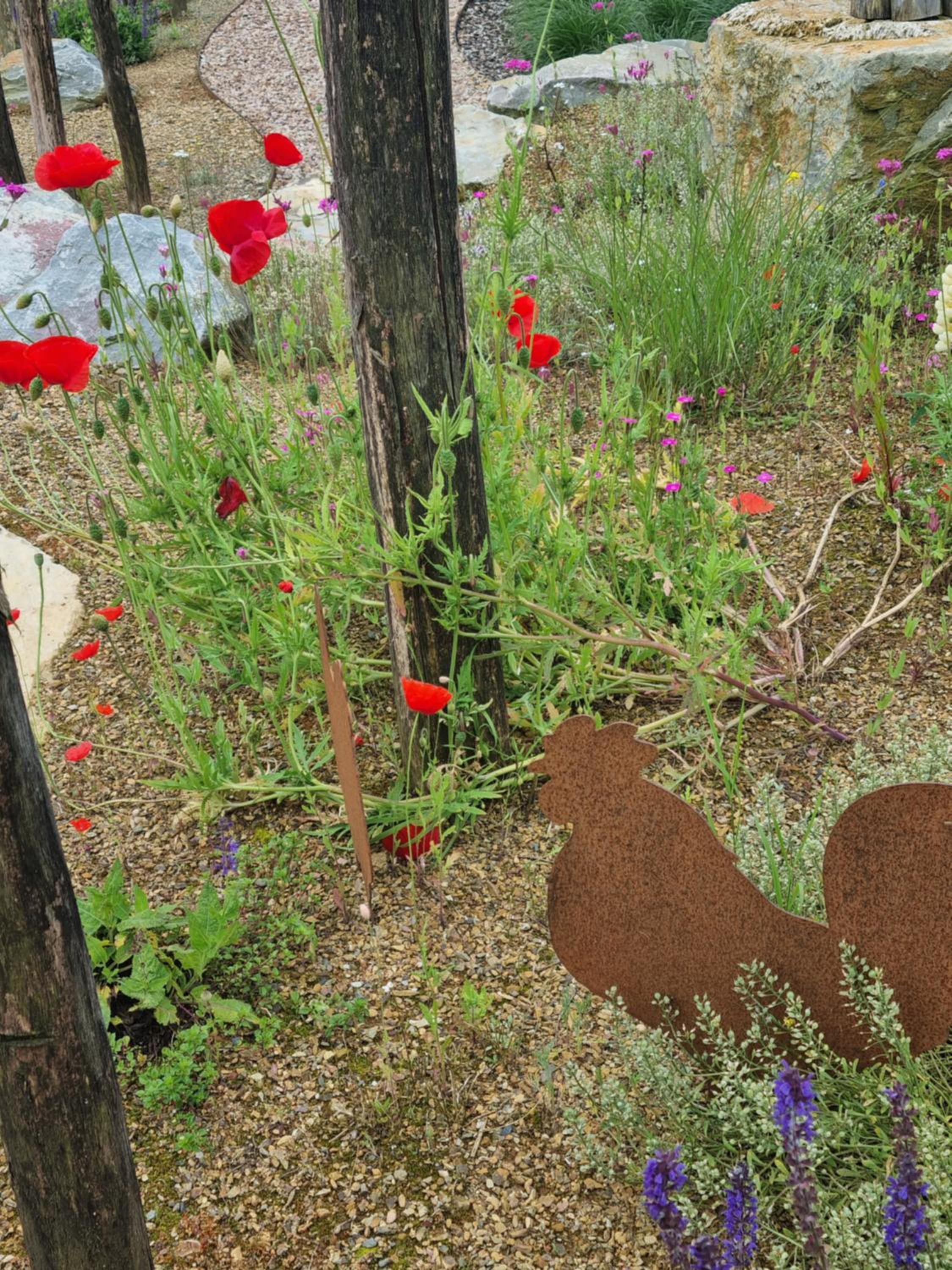 Photo 6