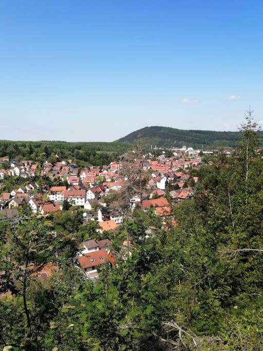 Großes Haus am Waldrand mit Garten und Parkplatz