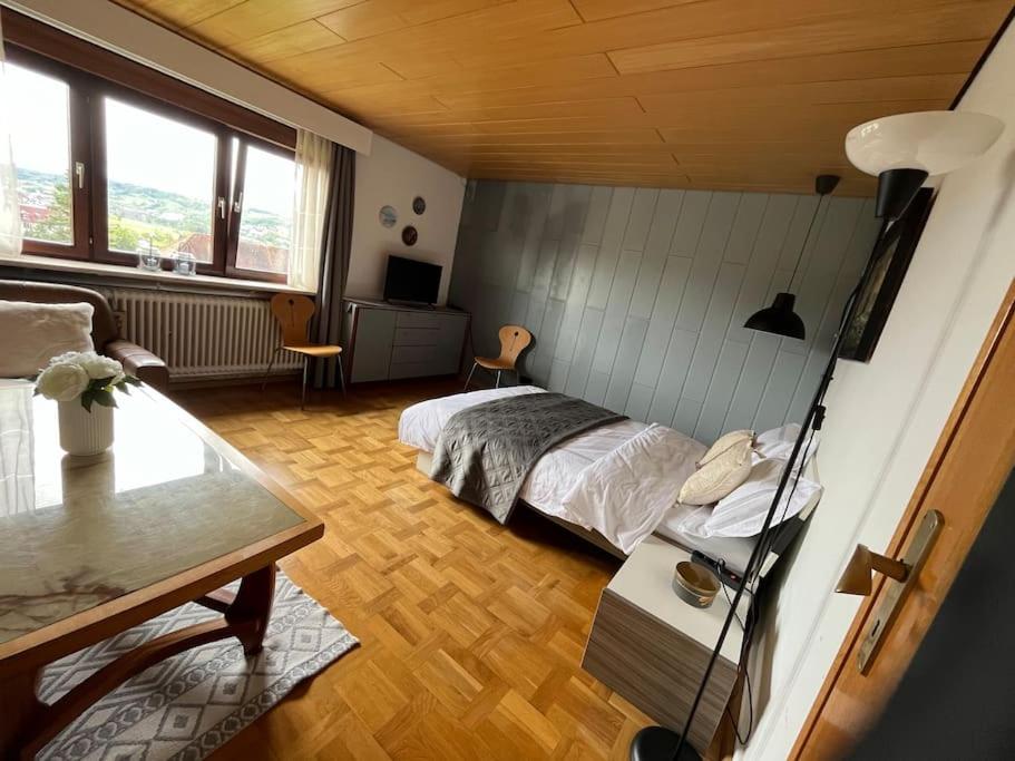 EMI2 Modern Apartment Free Parking Near Swiss Border view 2